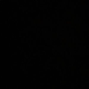 Meet your Posher, Dame